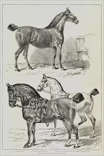 Prize Winners at the Hackney Horse Show (litho)