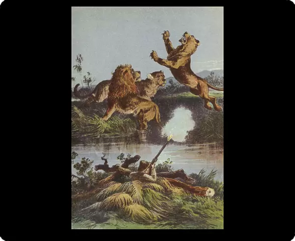 Lion hunting at night (colour litho)
