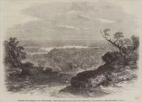 Sketches from Sydney, New South Wales, View from South Head Road, the Harbour in the Distance (engraving)