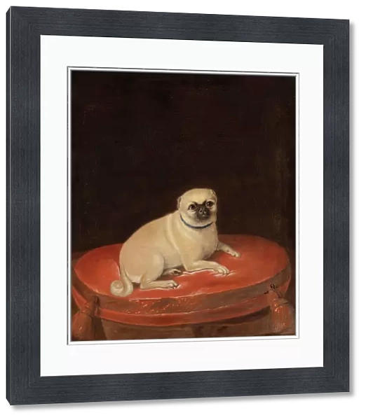 Pug (oil on canvas)