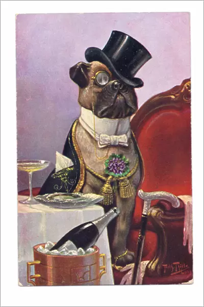Edwardian postcard of a dog with a top hat wearing human clothes, c. 1910 (colour litho)