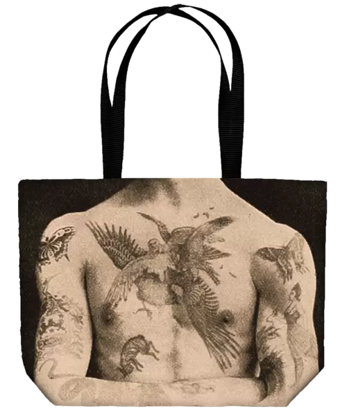 Portrait of a man tattooed by Sutherland MacDonald, 1897 (photo)