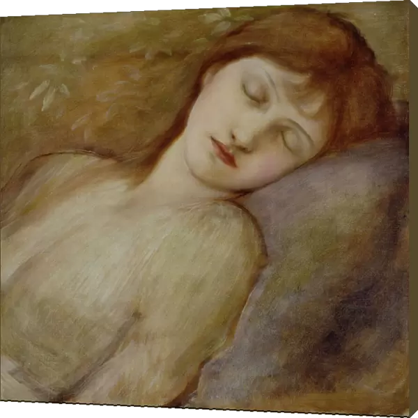 Study for the Sleeping Princess in The Briar Rose Series, c