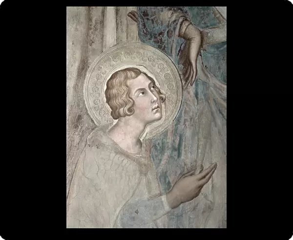 Maesta: St. Ansanus, 1315 (fresco) (detail of 51591)