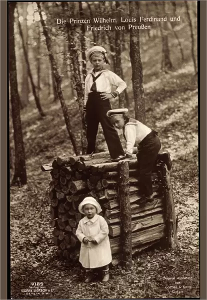 Ak Prince Wilhelm with Prince Louis Ferdinand and sister, Liersch 7189 (b  /  w photo)