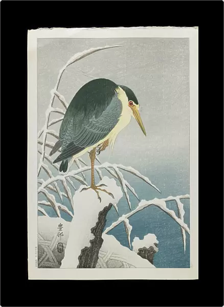 Black-crowned Night Heron in Snow, 1930s (colour woodblock print)