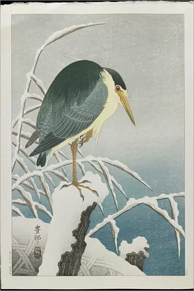 Black-crowned Night Heron in Snow, 1930s (colour woodblock print)
