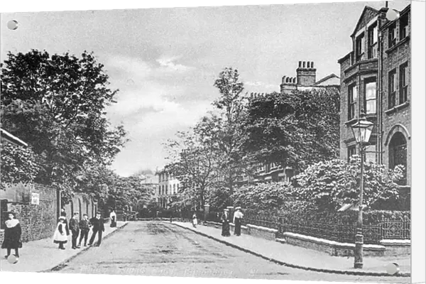 Willow Bridge Road, Canonbury, Islington, c. 1905 (b  /  w photo)