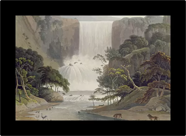 Cascade on Sneuwberg, plate 25 from African Scenery and Animals