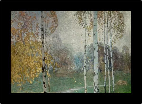 Birch Trees, 1904 (oil on canvas)