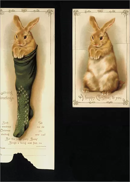 Novelty Christmas card, featuring a rabbit in a stocking (colour litho)