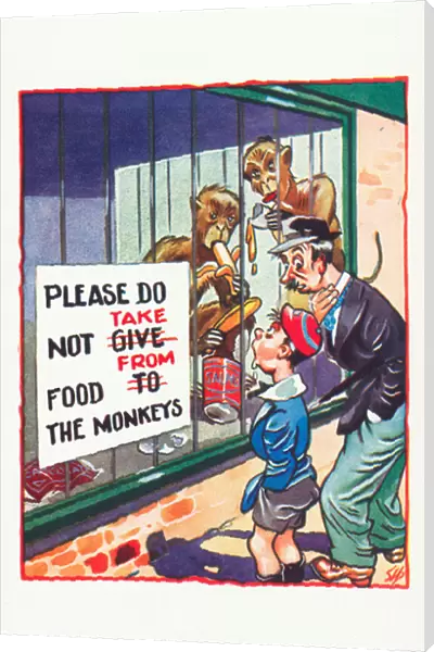 Clever monkeys at a zoo (colour litho)