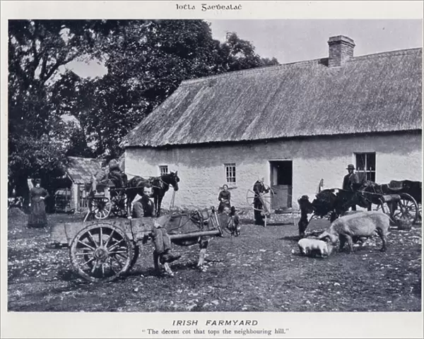 Irish Farmyard (b  /  w photo)