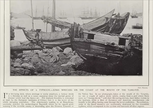 The effects of a typhoon, junks wrecked on the coast at the mouth of the Yang-tze (b  /  w photo)
