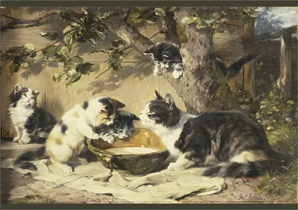The Bowl of Milk, (oil on canvas)