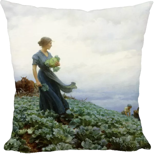 The Cabbage Field, 1914 (oil on canvas)