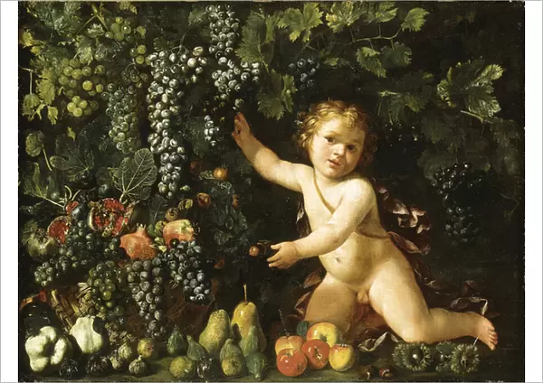 Grapes on the vine, pomegranates, grapes, and rosehips in a basket, with figs, apples