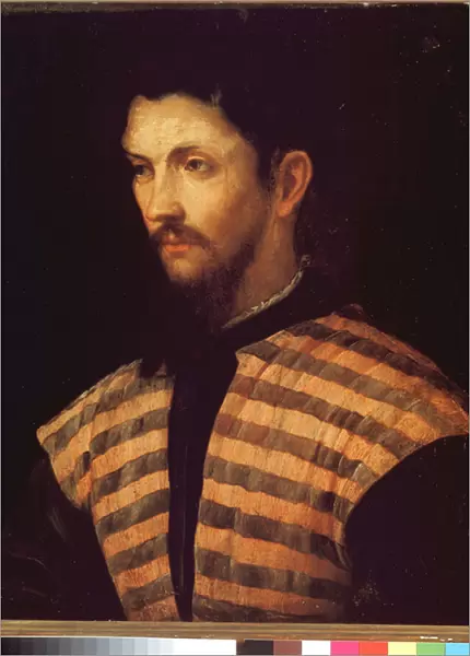 Portrait of a gentleman wearing a striped jacket - Oil on canvas, 16th century
