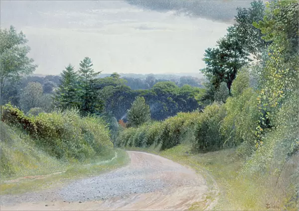 A Warwickshire Lane