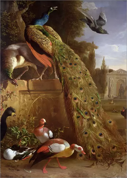 Peacock and a Peahen on a Plinth, with Ducks and Other Birds in a Park