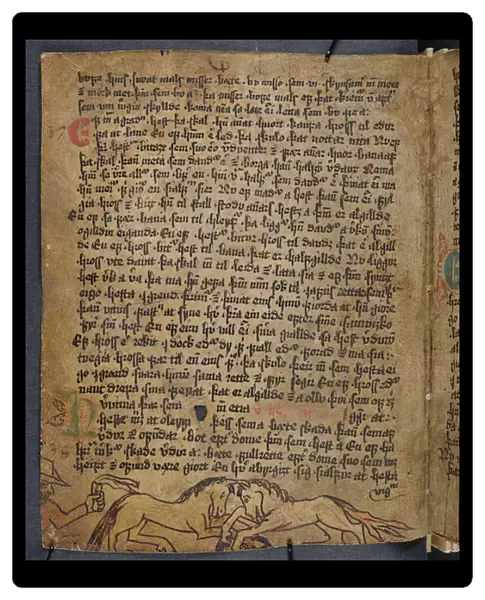 Horse Fight, from Heynesbok ( The Book of Heynes )