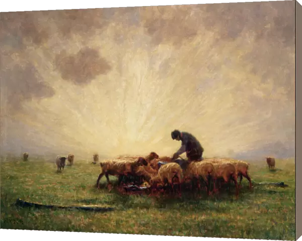 Sunrise, the Morning Feed (oil on canvas)