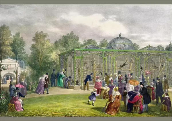The Monkey House at the Zoological Gardens, Regents Park, engraved and pub