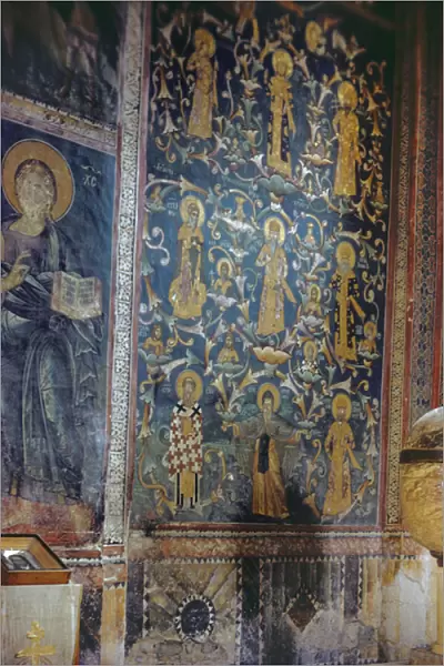 Nemanjic Family Tree, 1335-48 (fresco)