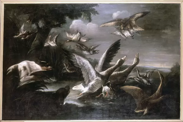 Eagle, Wild Geese and Dogs (oil on canvas)
