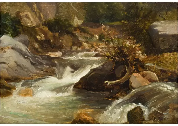 Landscape Study (La Source) c. 1830 (oil on paper mounted on panel)