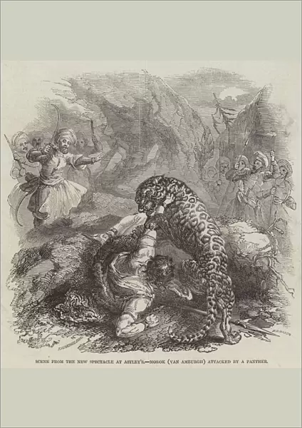 Scene from the New Spectacle at Astley s, Morok (Van Amburgh) attacked by a Panther (engraving)