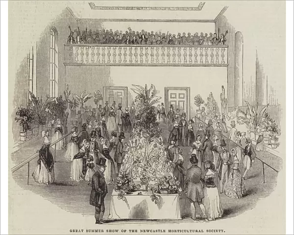 Great Summer Show of the Newcastle Horticultural Society (engraving)