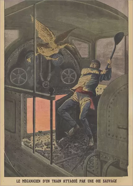 A train driver attacked by a wild goose in Belgium (colour litho)