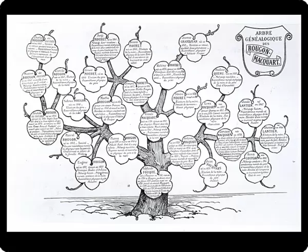 Genealogical tree of the Rougon-Macquart family (litho)