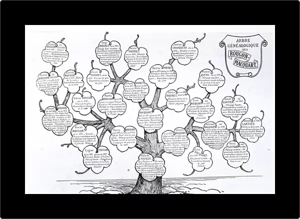 Genealogical tree of the Rougon-Macquart family (litho)