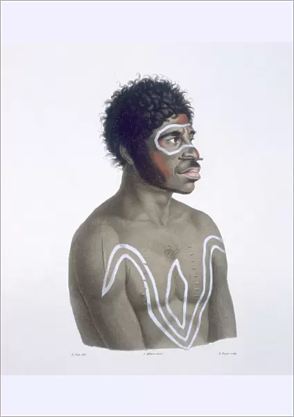 Australian Aborigine, 1812 (colour litho)
