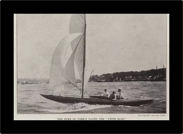 The Duke of Yorks Yacht, the 'White Rose'(b  /  w photo)