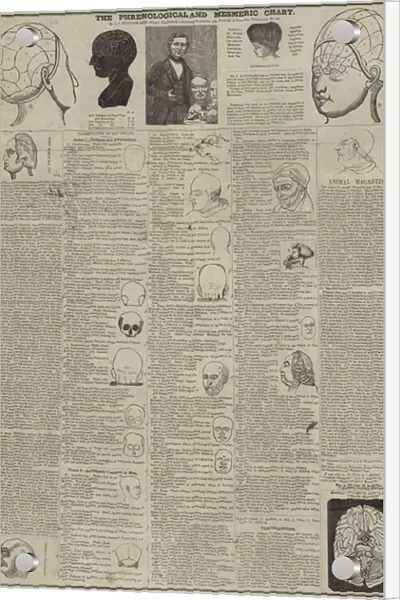 The Phrenological and Mesmeric Chart (litho)