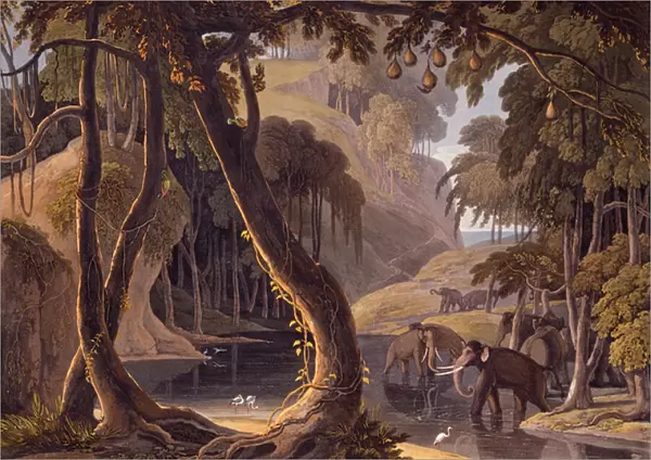 Scene in Sitsikamma - elephants with herons at a pool, from