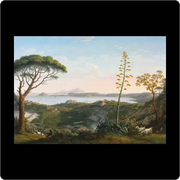 View of the Gulf of Pozzuoli from Solfatara, 1803 (oil on fabric)
