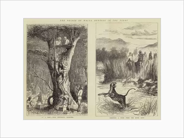 The Prince of Wales hunting in the Terai (engraving)