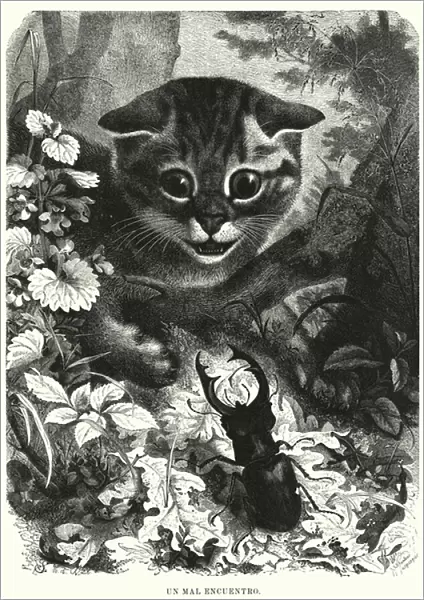 Cat encountering a male stag beetle (litho)