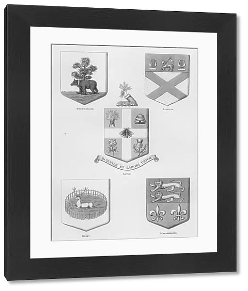 Public arms: Berwickshire; Ayrshire; Luton; Derby; Maryborough (engraving)