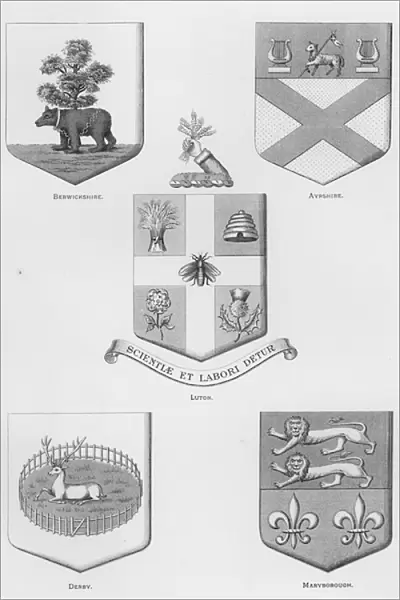 Public arms: Berwickshire; Ayrshire; Luton; Derby; Maryborough (engraving)