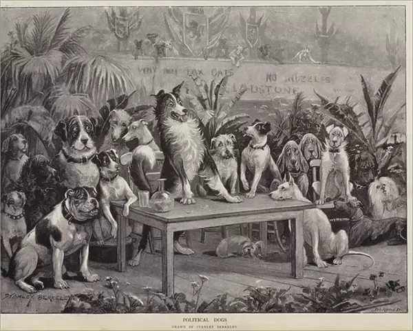 Political Dogs (litho)