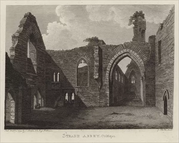 Strade Abbey, County Mayo, Ireland (engraving)