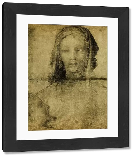 Study for the Virgin; drawing from the School of Leonardo. The Louvre, Paris