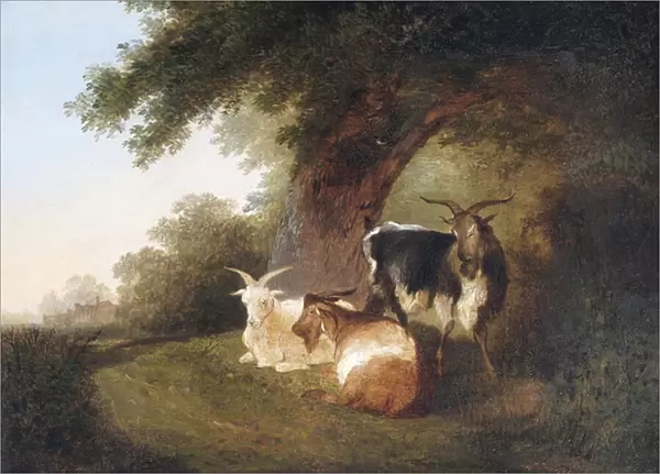 Three Goats in a Landscape, 1848 (oil on canvas)