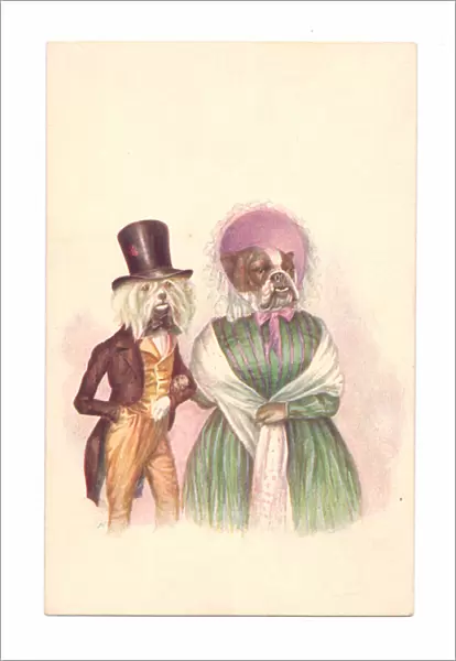 Edwardian postcard of two dogs wearing human clothes taking a stroll, c