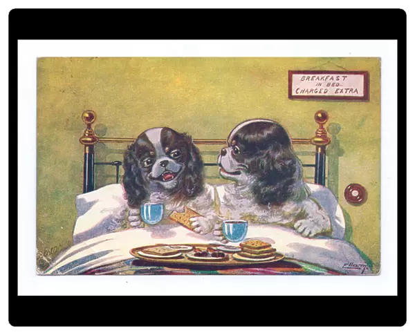 Edwardian postcard of two dogs in bed having breakfast, c. 1910 (colour litho)